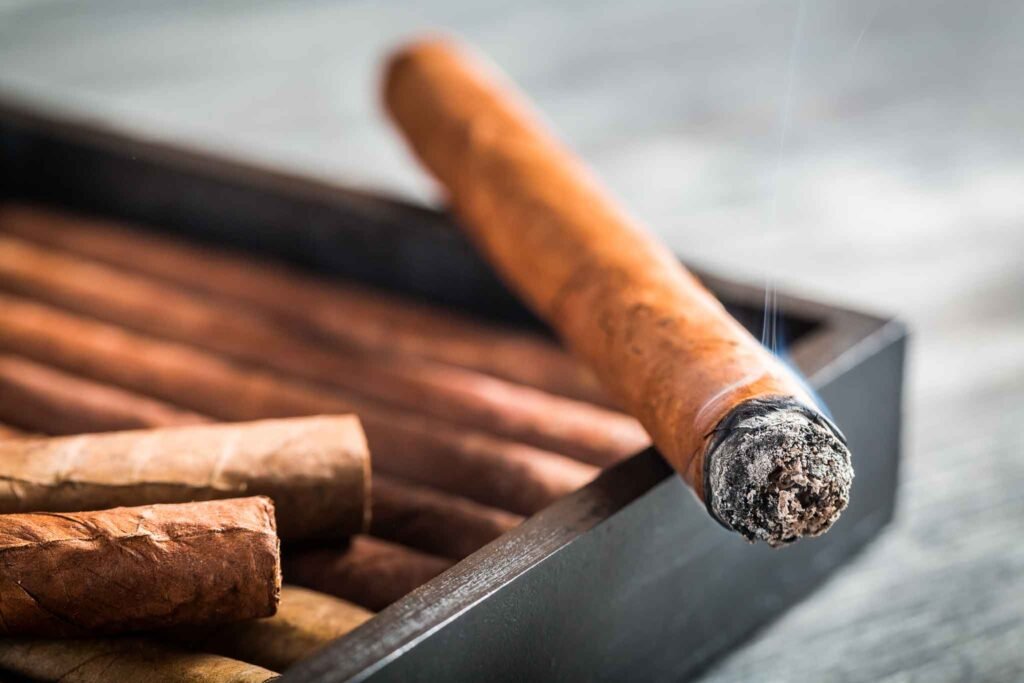 Mundo del Tabaco